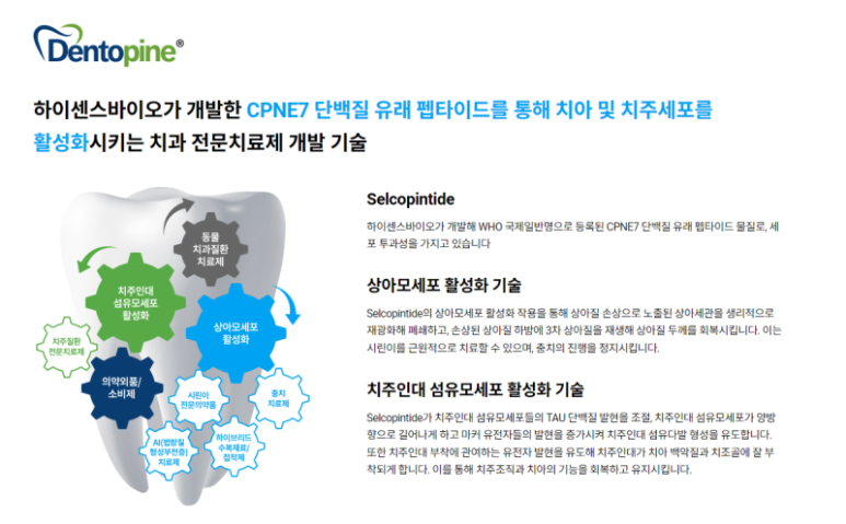 하이센스 이미지