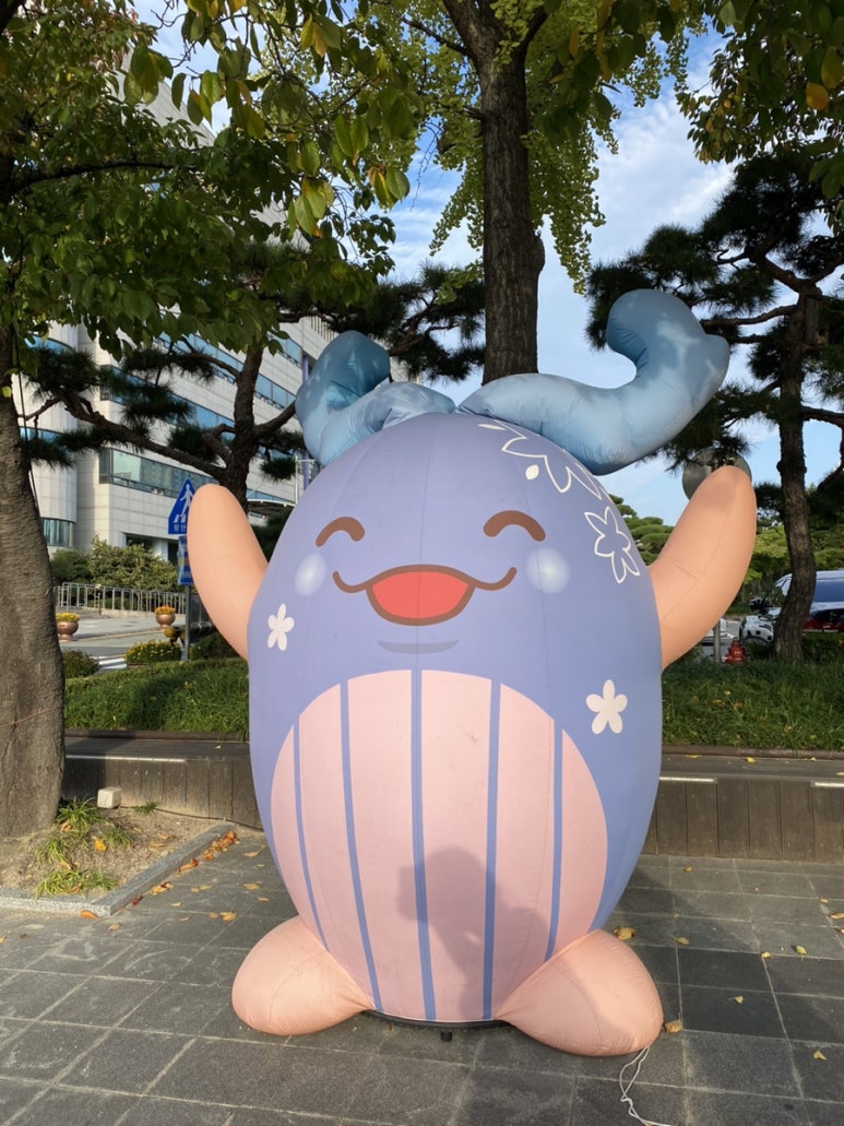 마코청주 이미지