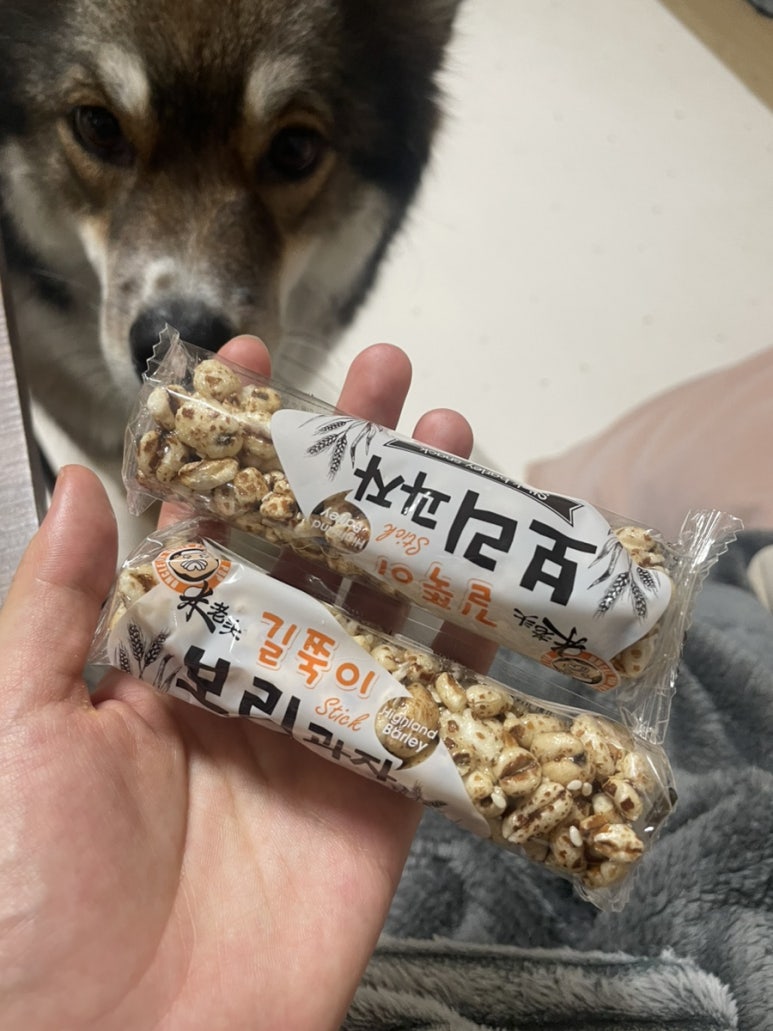 빛나라토스트 이미지