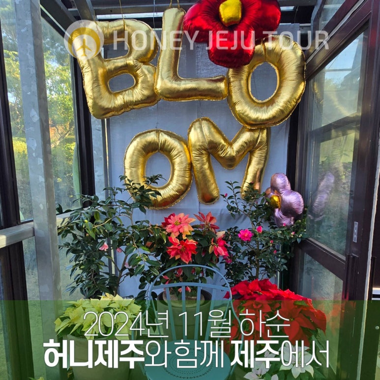 제주다정여행사 이미지