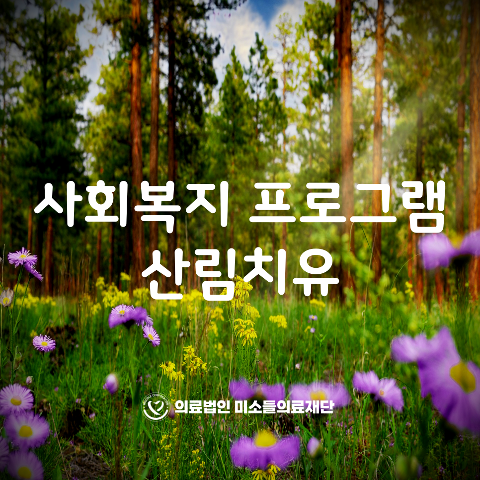 (주)미소트리 이미지