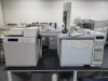 Agilent GC6890N with Agilent G1888 Headspace sampler | LabX.com