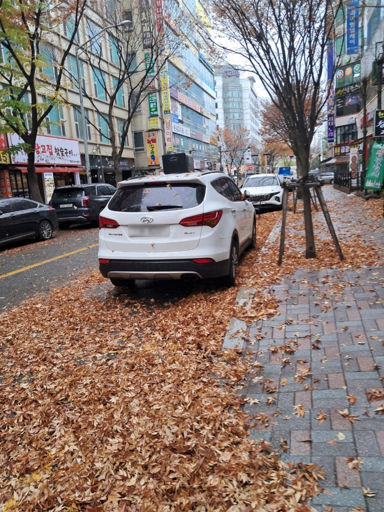 약손바디케어 이미지