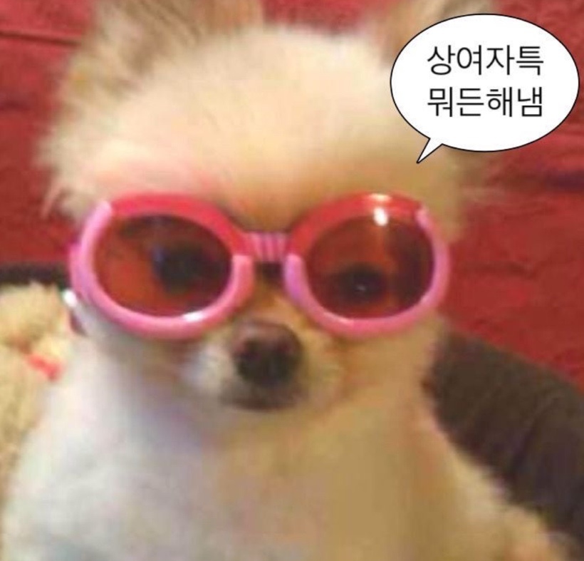 (주)처음 이미지