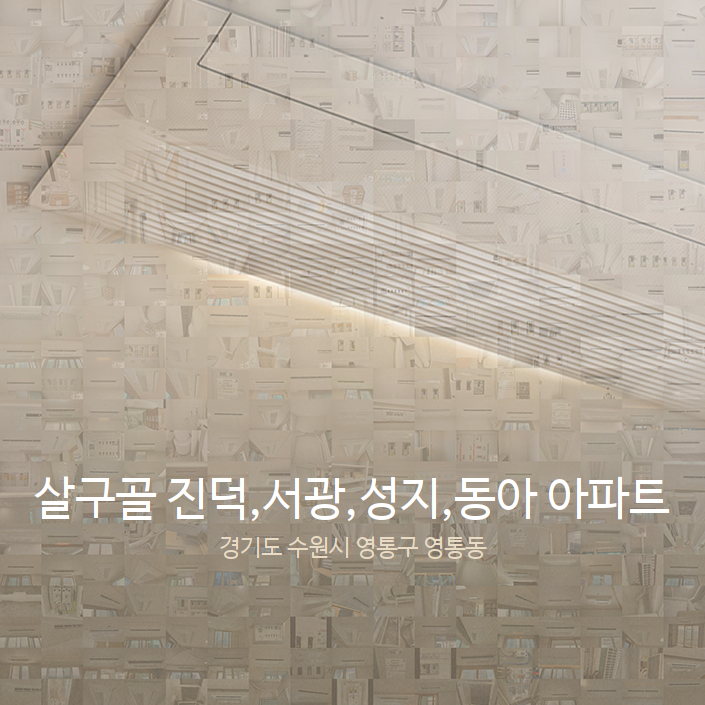 성지시스템주 이미지