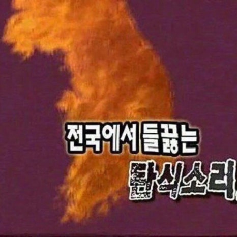 돼지게티 이미지