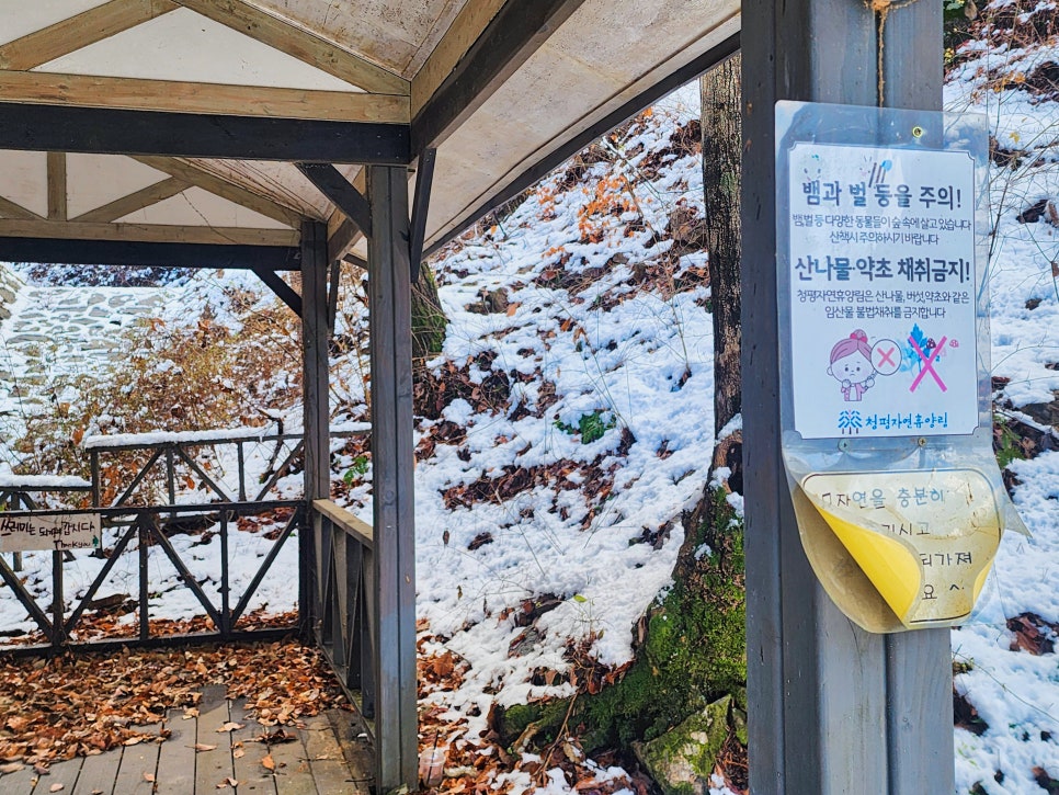 청평자연휴양림 이미지