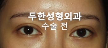 더디자인선 이미지