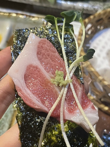 참치어때 이미지