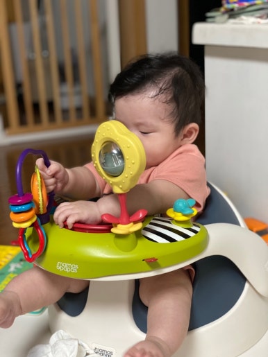 파파스네이처 이미지
