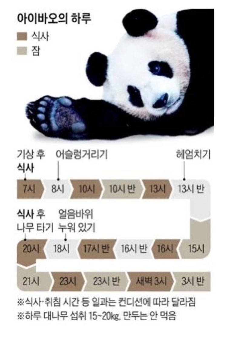 포도빵집 이미지