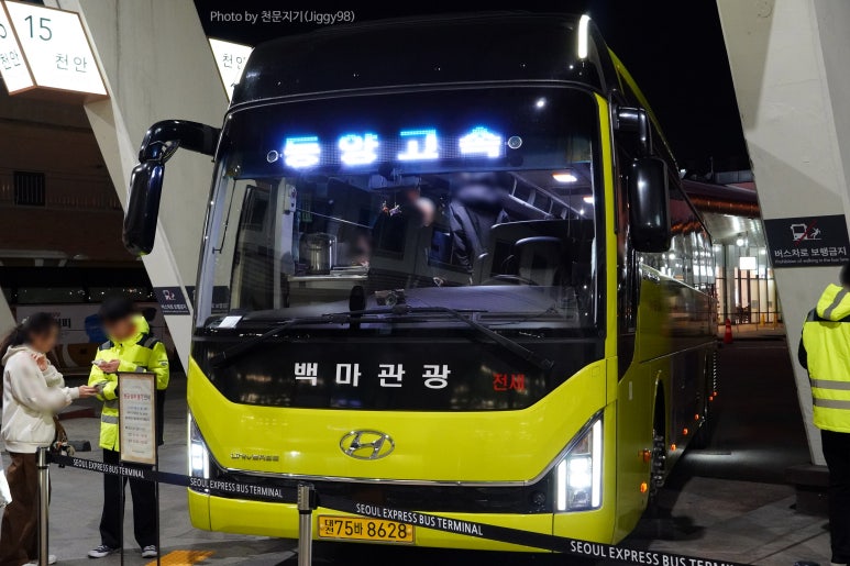 백마고속관광 이미지