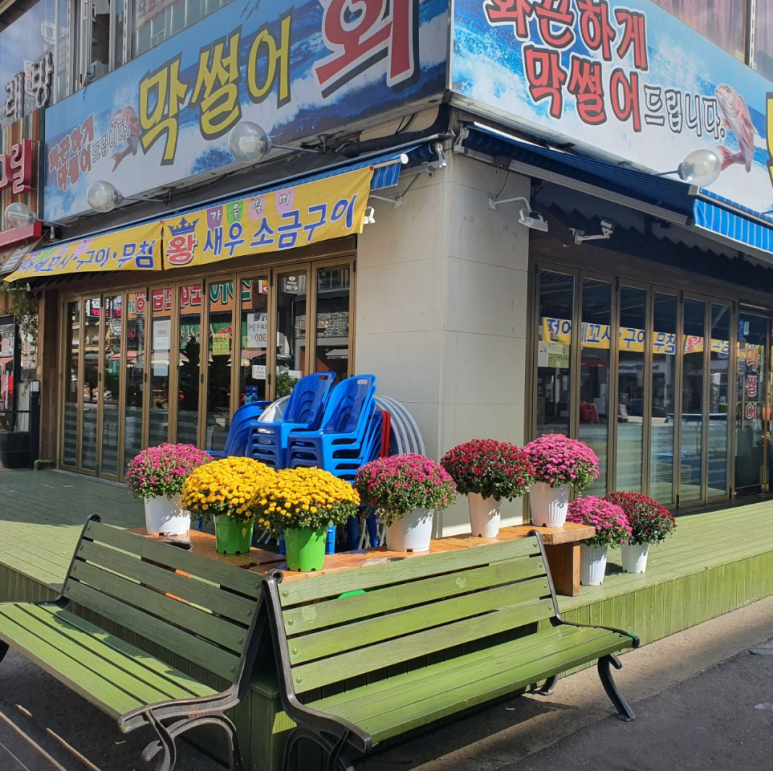 막썰어회식당 이미지