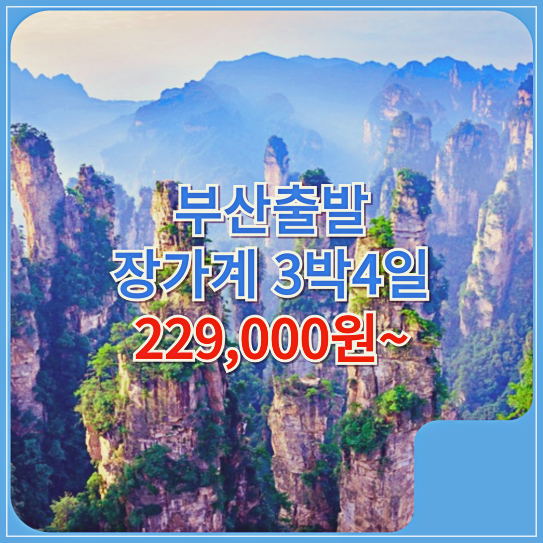 대성여행사 이미지
