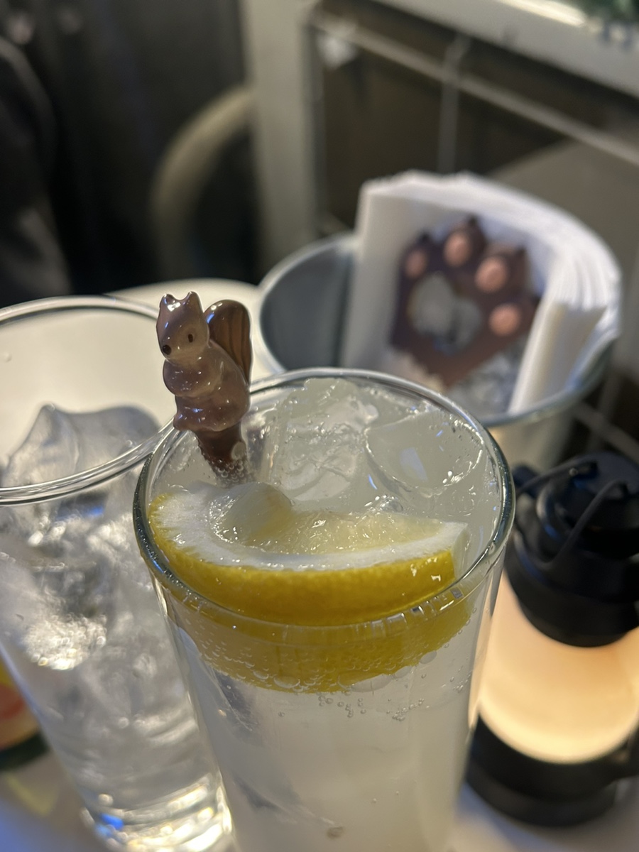 불다람쥐사카바 이미지