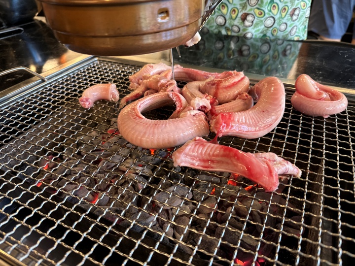 용마그집장어 이미지