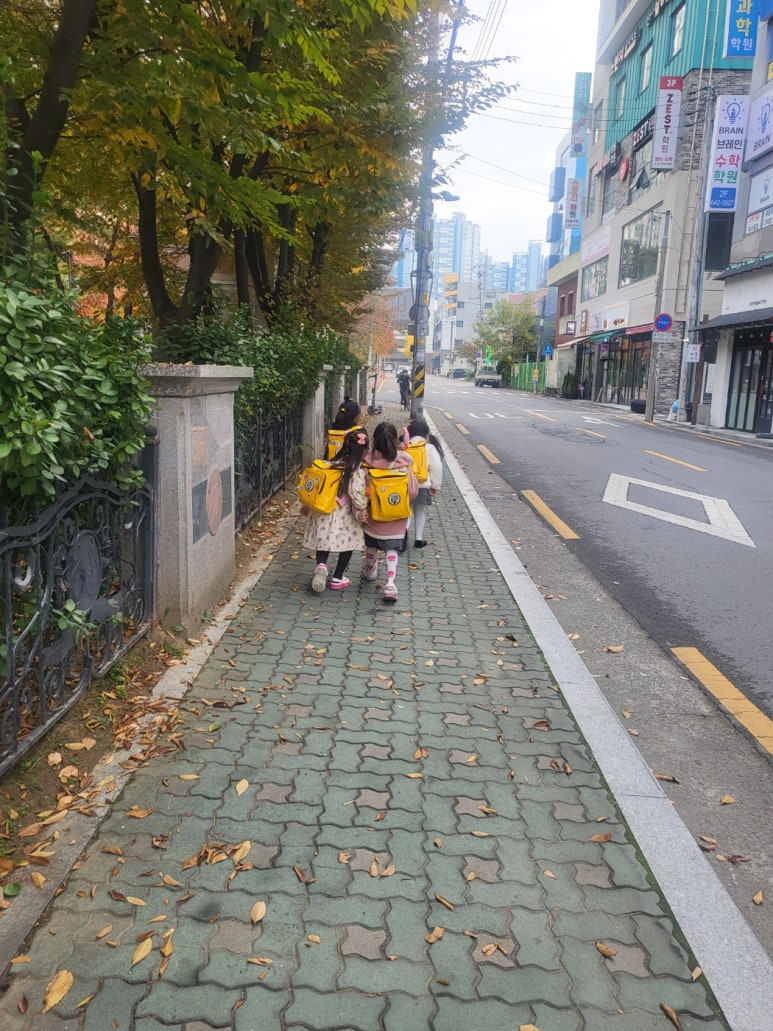 폴리음악학원 이미지