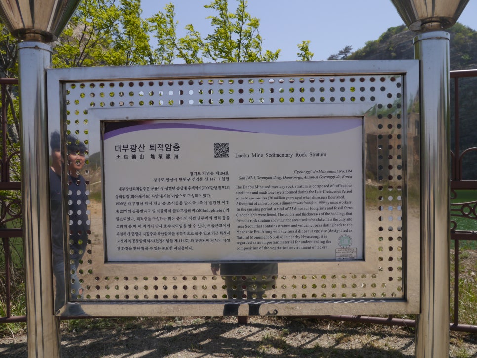 새싹바지락칼국수 이미지