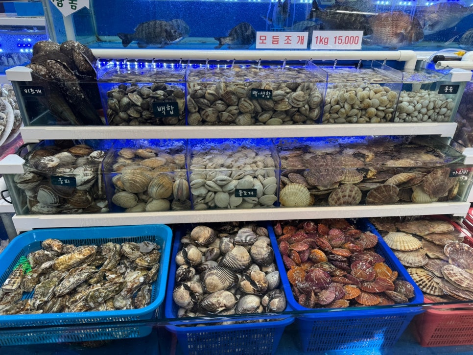 수산365 이미지