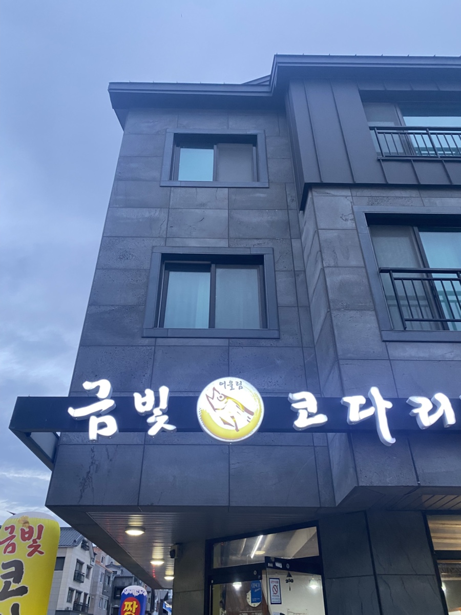 금빛코다리 이미지