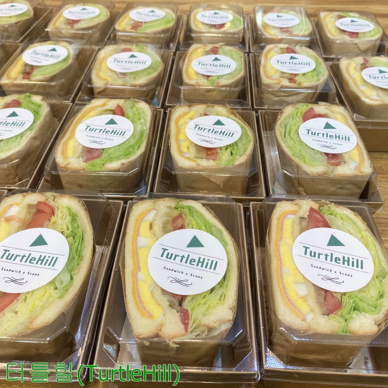 터틀힐 이미지