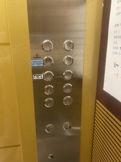 제이드 스킨 & 바디 이미지
