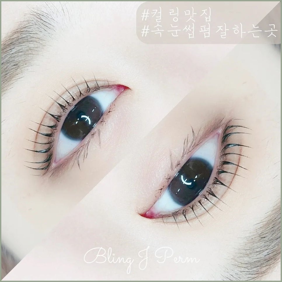블링하루 이미지
