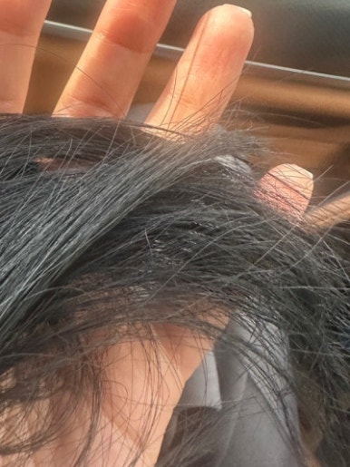 테디헤어코스메틱 이미지