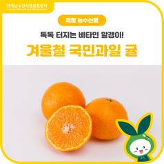 톡톡 터지는 비타민 알맹이! 겨울철 국민과일 귤🍊(feat 비가림, 타이벡 감귤) 바로가기