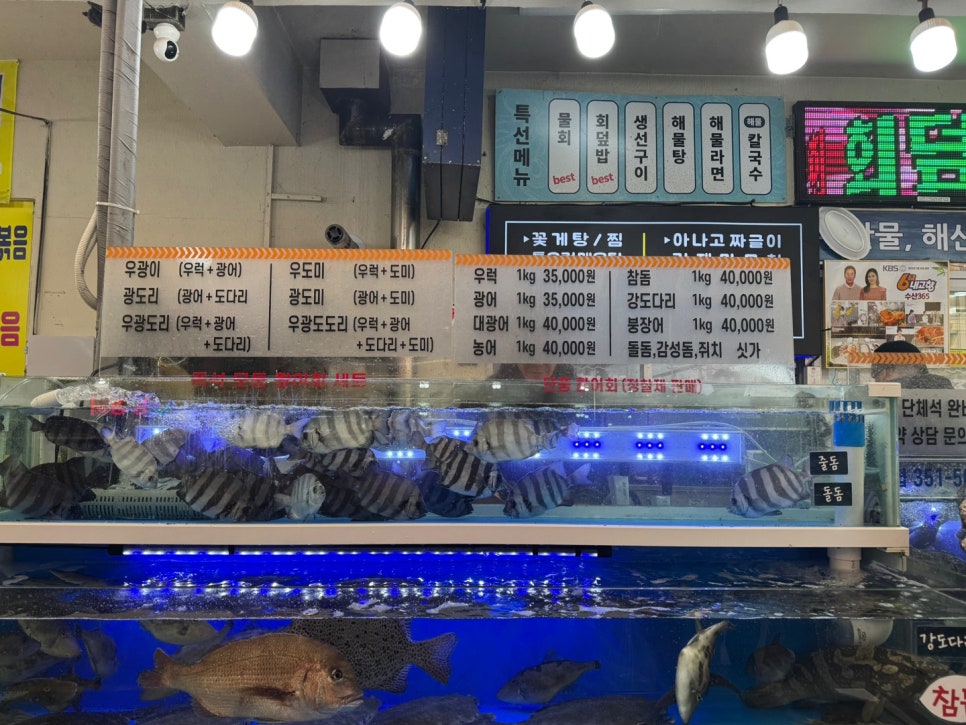 수산365 이미지