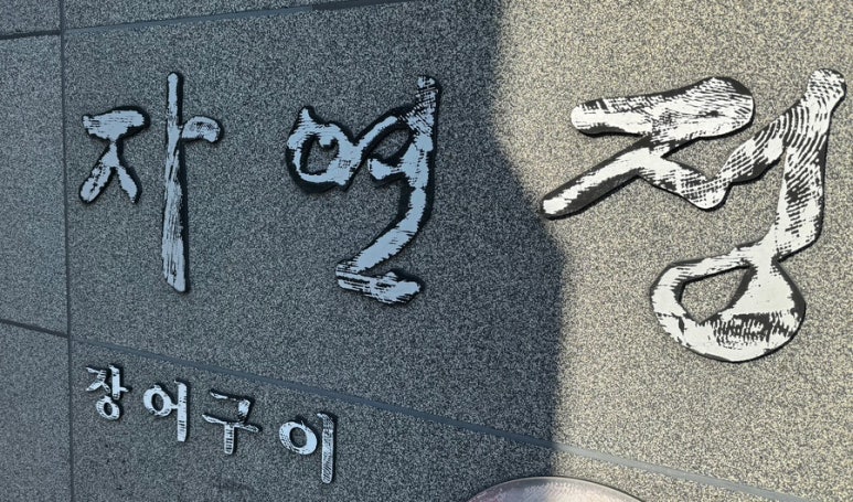 자연정 이미지