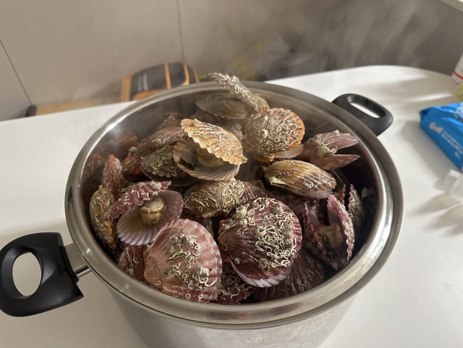 바다,달다 이미지