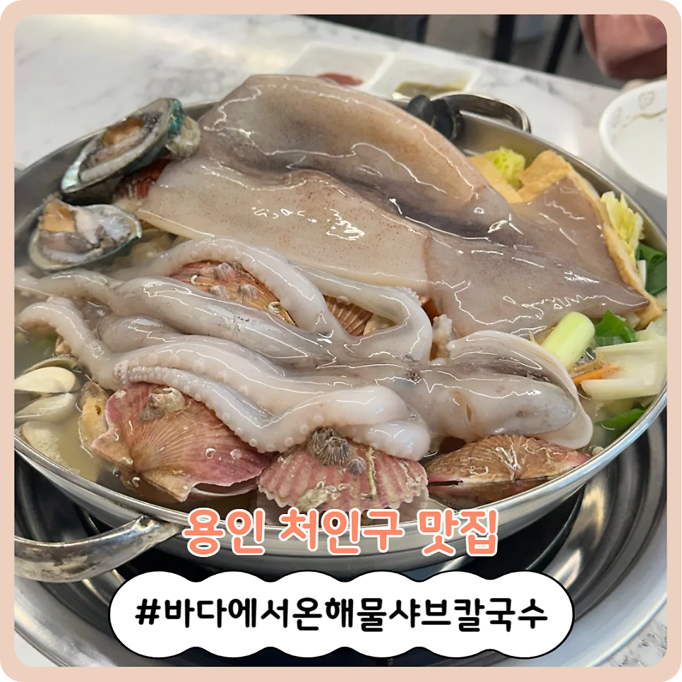 바다에서온해물샤브칼국수 이미지