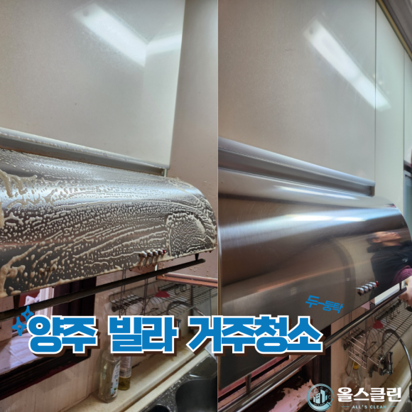올스클린 이미지