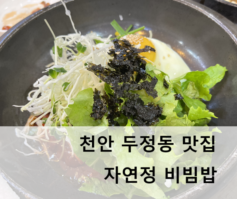 자연정 이미지
