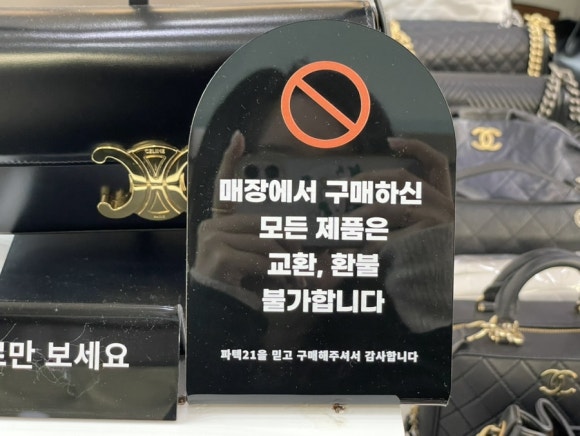 파텍21 이미지