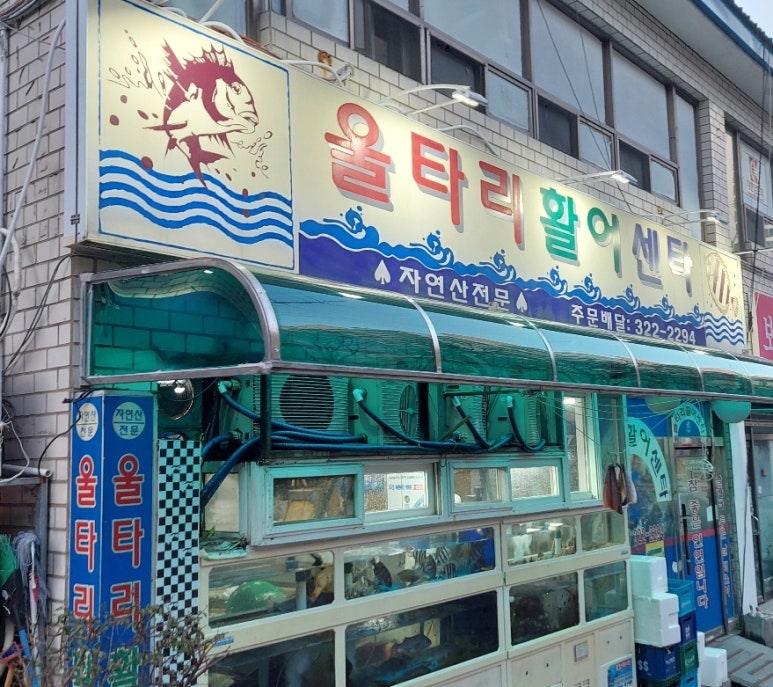 울타리활어센타 이미지