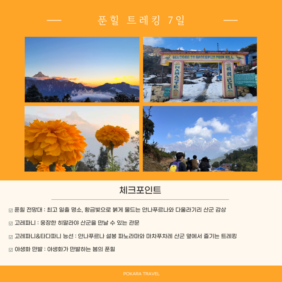홍코너 이미지