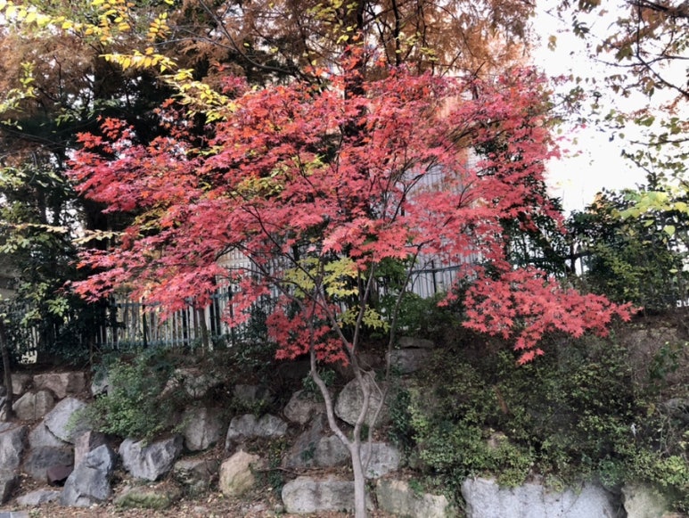 북면막걸리 이미지