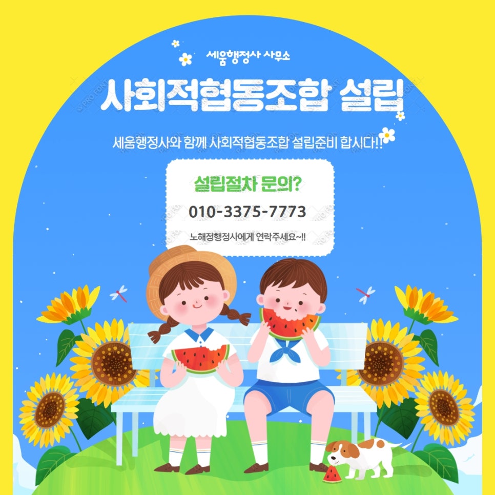 세움협동조합 이미지