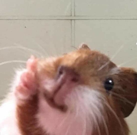 오르커피로스터스 이미지