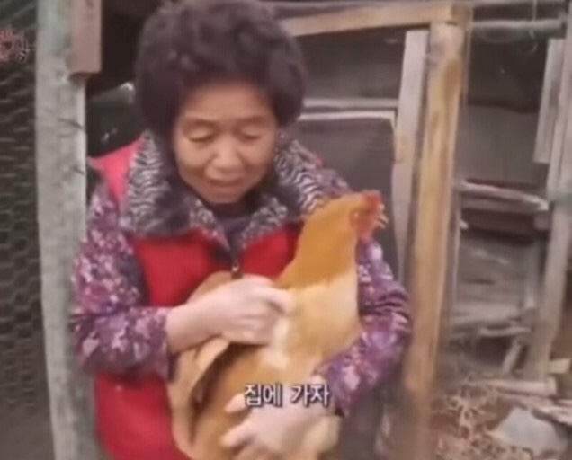 계장수 이미지