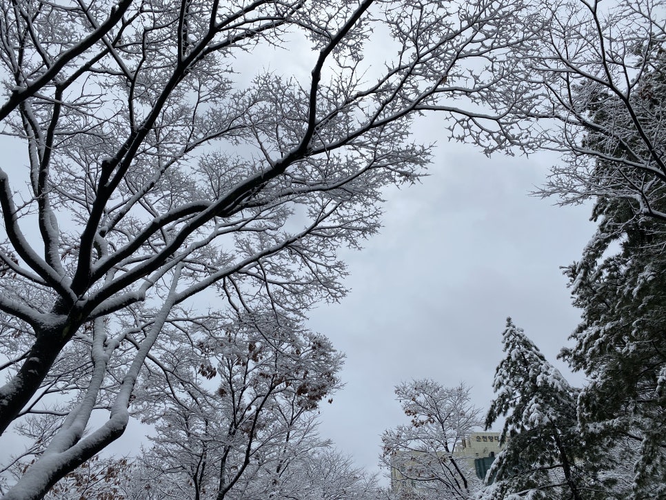서울서신초등학교 이미지