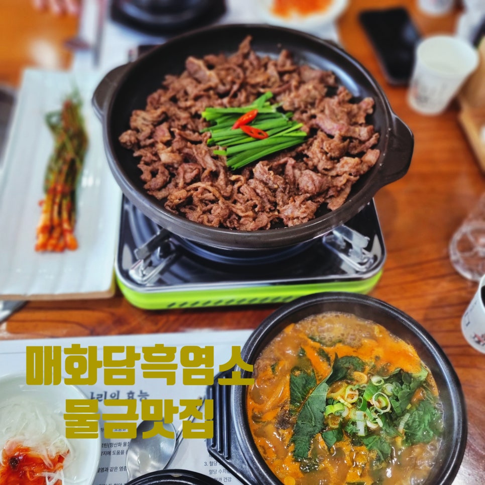 매화담흑염소 이미지