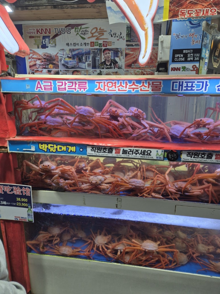 참바다&대게와친구 이미지