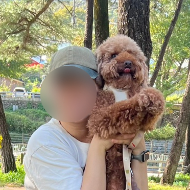 안녕달곰 이미지