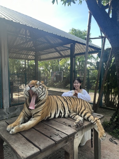 사육사스트릿 이미지