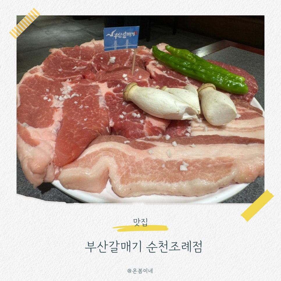 부산갈매기조례점 이미지
