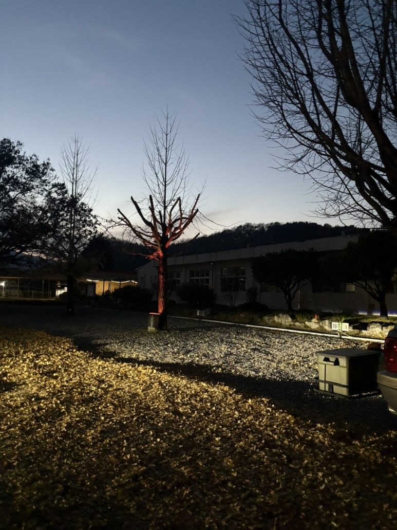 충주비내캠프체험학습장 이미지