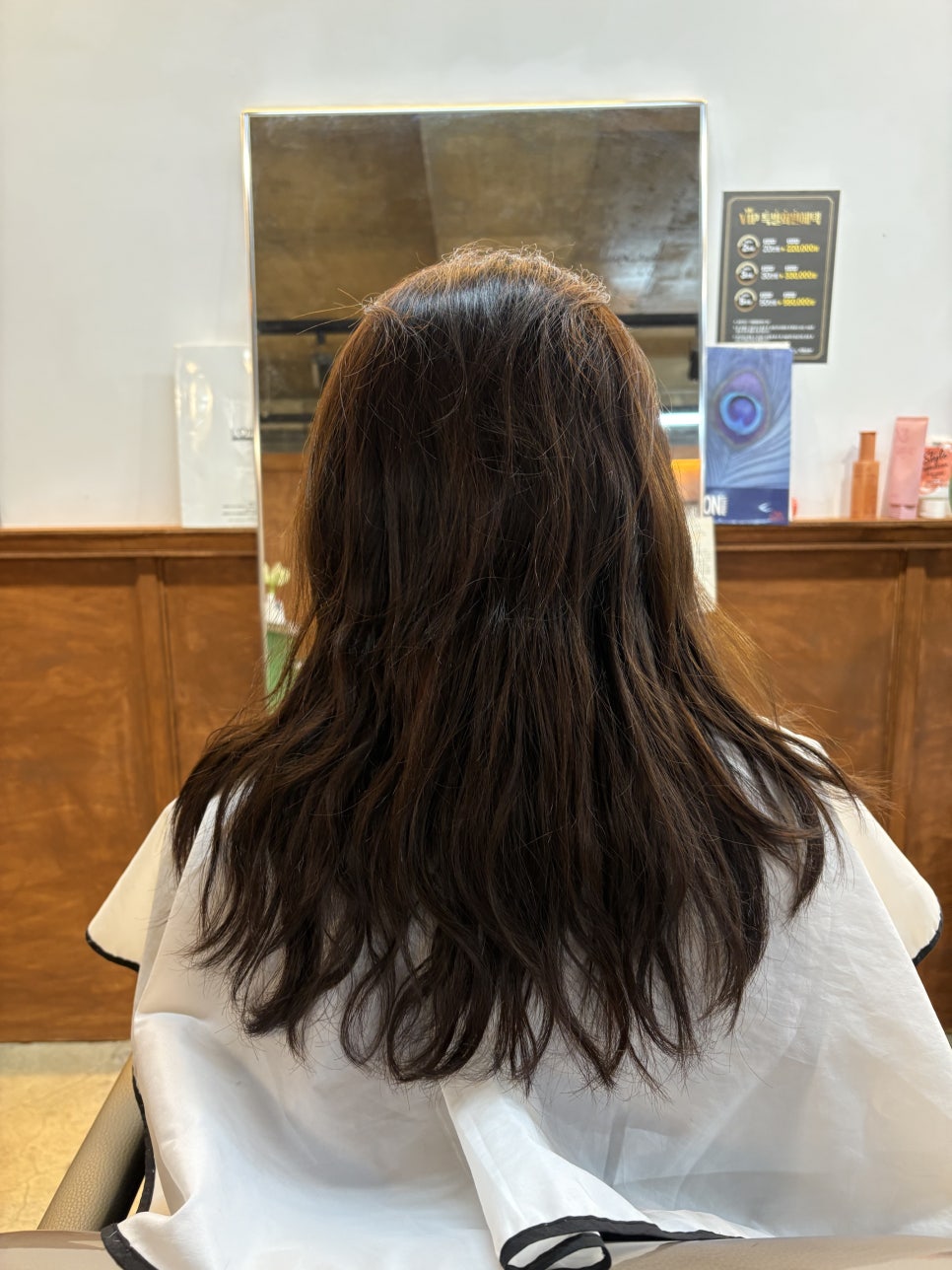 시져스헤어 이미지